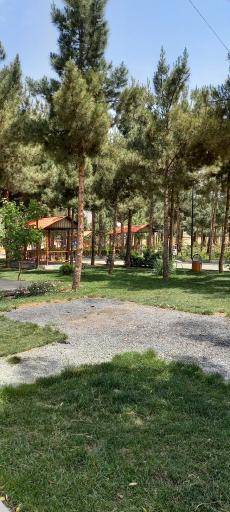 عکس پارک جنگلی ترنج (تورنج)