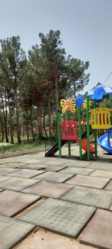 عکس پارک جنگلی ترنج (تورنج)