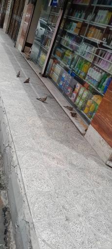 عکس سوپر عمو علی