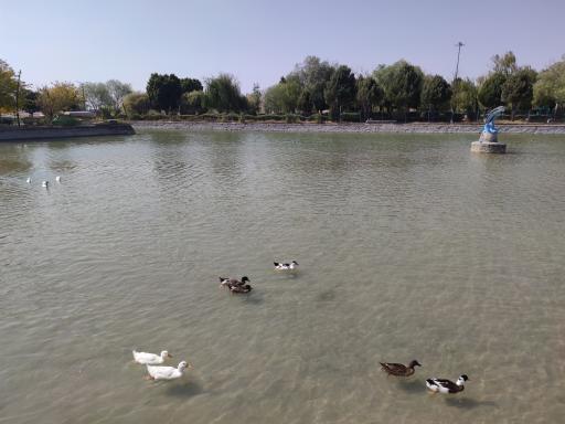 عکس بوستان سعدی