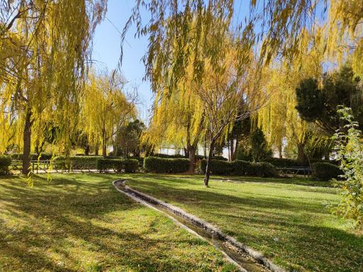 عکس بوستان سعدی