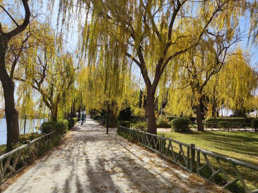 عکس بوستان سعدی