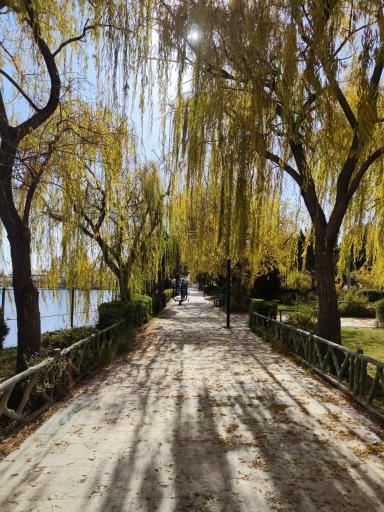 عکس بوستان سعدی