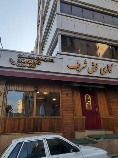 عکس گالری فرش دستبافت شریف