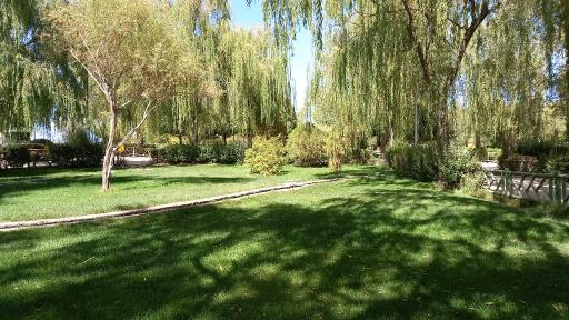 عکس بوستان سعدی