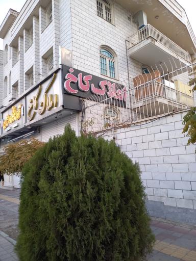 عکس املاک کاخ