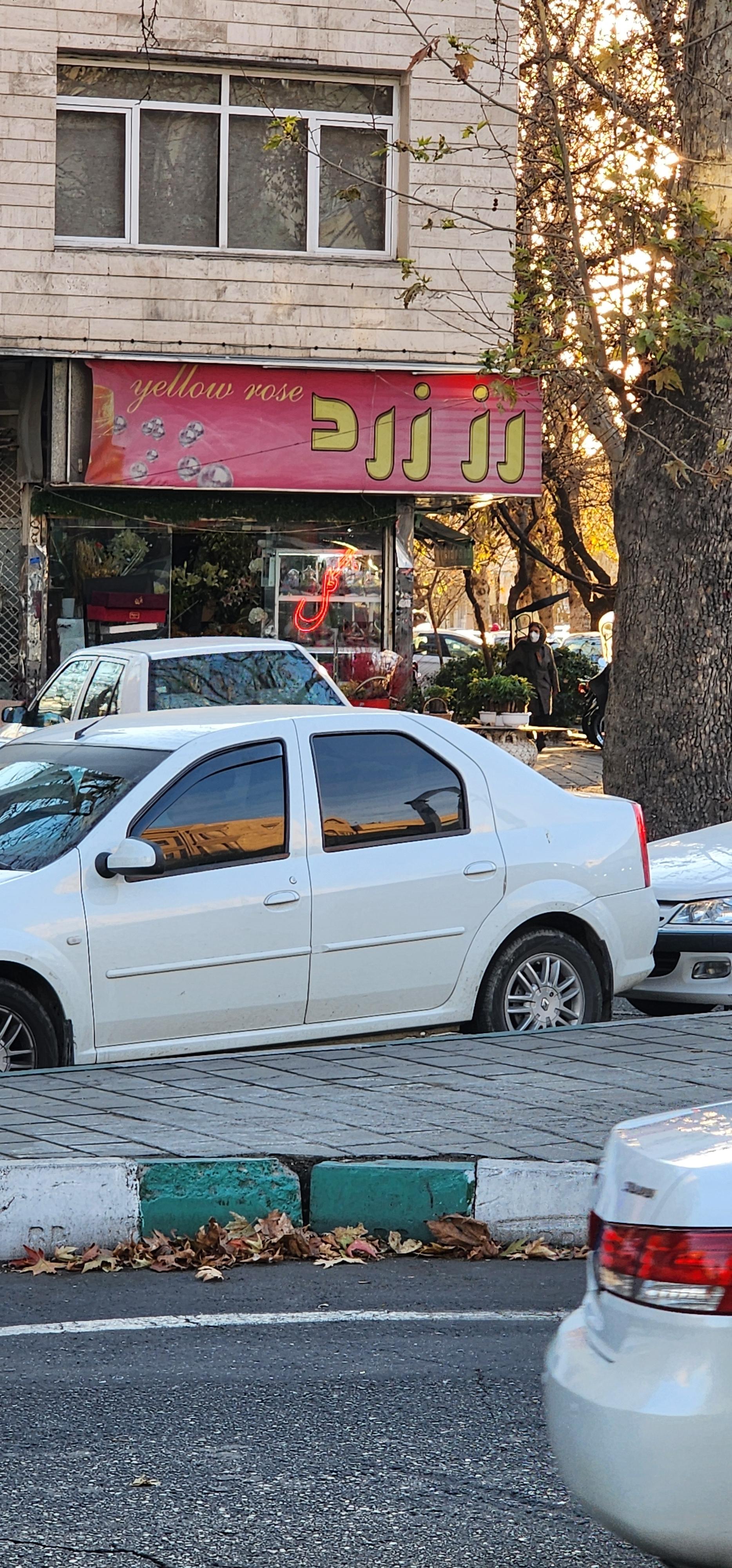 عکس گل فروشی رز زرد