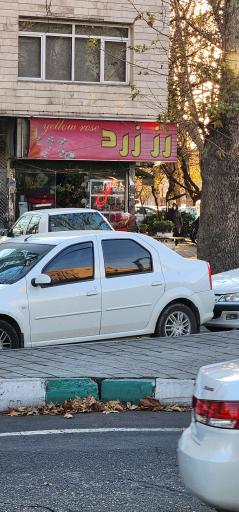 عکس گل فروشی رز زرد