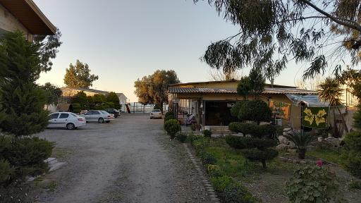 عکس متل لتکا