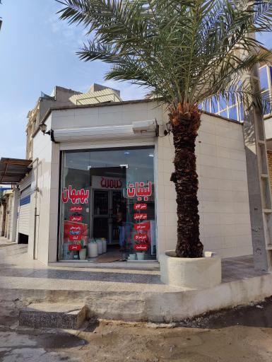 عکس لبنیاتی نخل