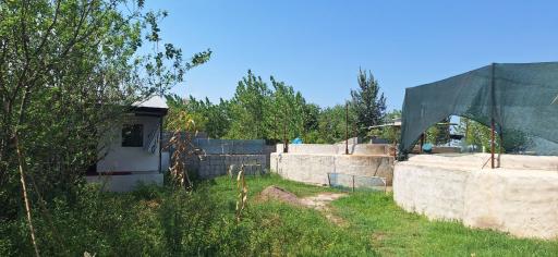 عکس پرورش ماهی قزل آلا راستی