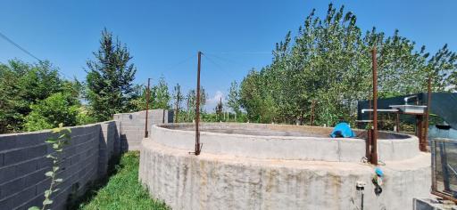 عکس پرورش ماهی قزل آلا راستی