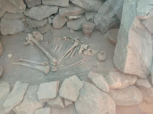 عکس باغ موزه هرندی