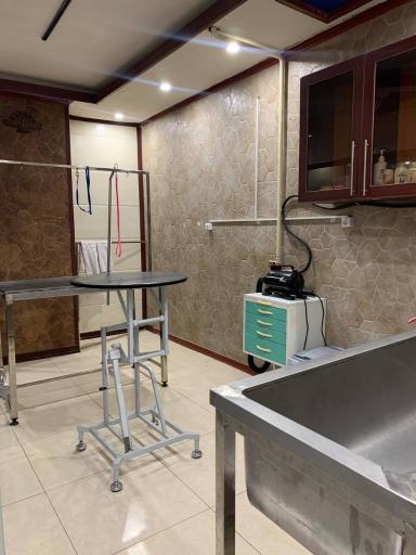 عکس کلینیک دامپزشکی کرگدن