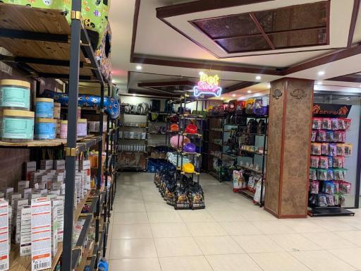 عکس کلینیک دامپزشکی کرگدن