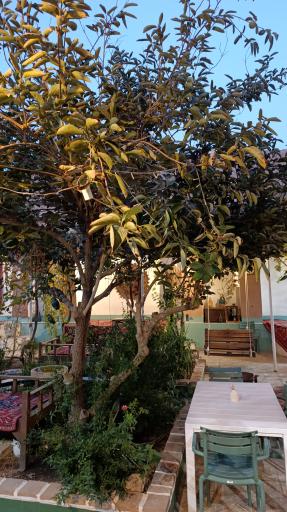 عکس مجموعه خانه سبز