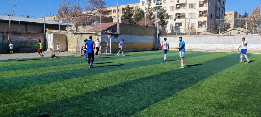 عکس زمین چمن امام حسین 