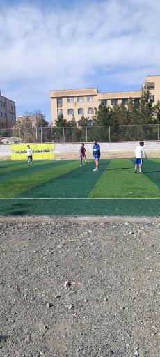 عکس زمین چمن امام حسین 