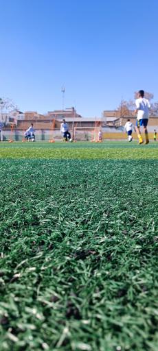 عکس زمین چمن امام حسین 