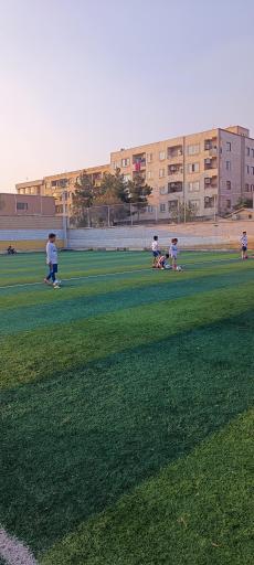 عکس زمین چمن امام حسین 