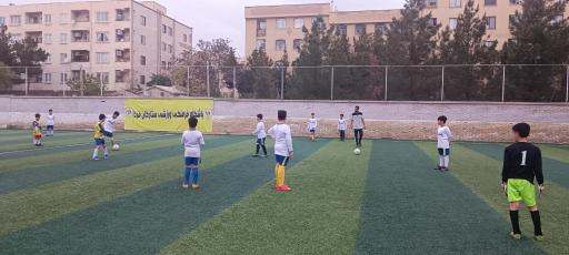 عکس زمین چمن امام حسین 