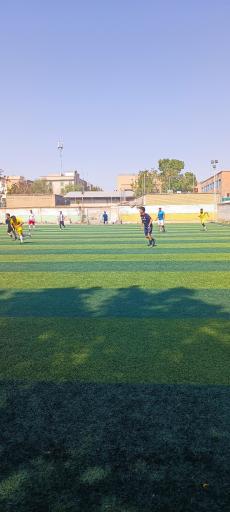 عکس زمین چمن امام حسین 