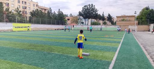 عکس زمین چمن امام حسین 