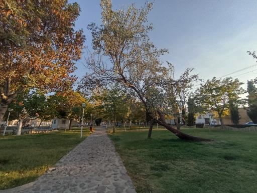 عکس بوستان لاله