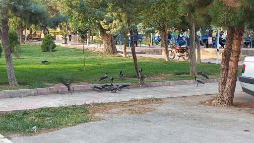 عکس پارک استاد شهریار