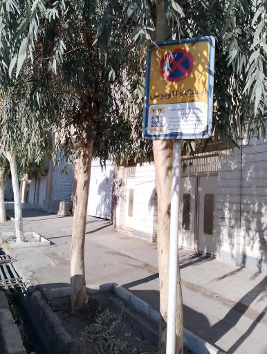 عکس شهید نجف زاده