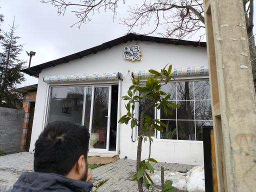 عکس غذای محلی پلا