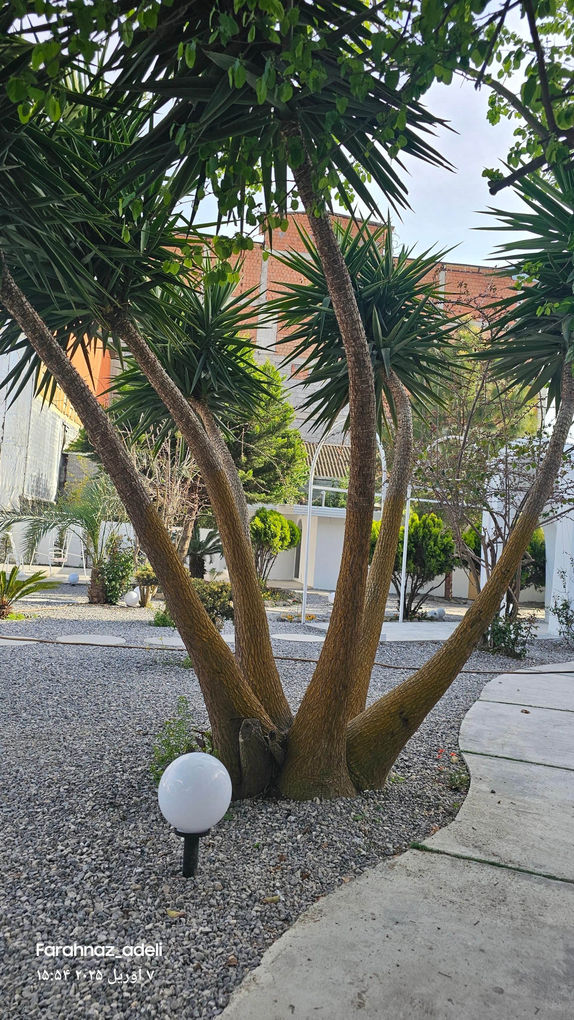 عکس کافه رستوران مارفیل