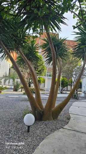 عکس کافه رستوران مارفیل