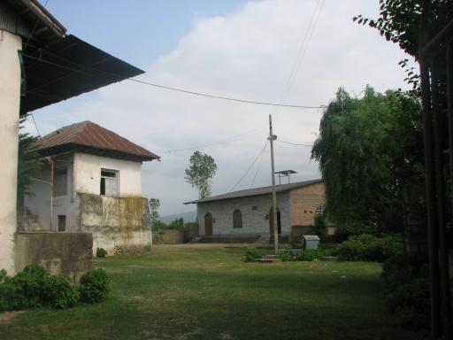 عکس سقانفار تنهاکلا