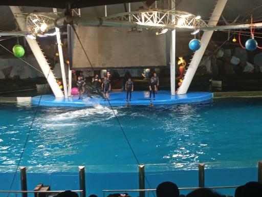 عکس آکواریوم کیش