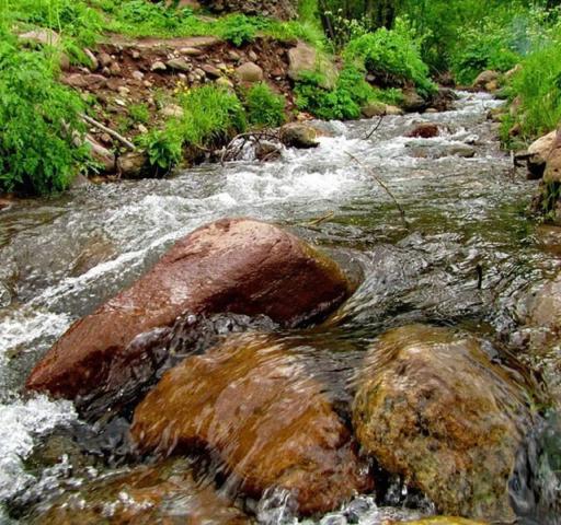عکس لیقوان