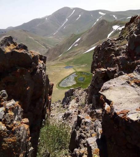 عکس لیقوان
