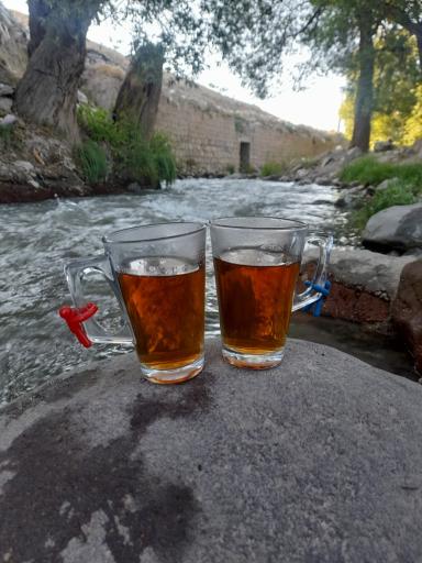 عکس لیقوان