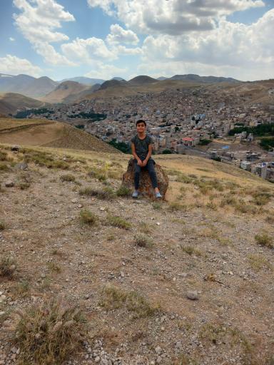 عکس لیقوان
