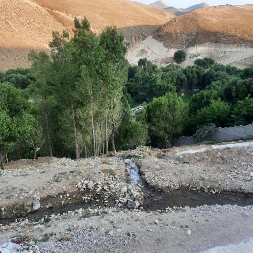 عکس لیقوان