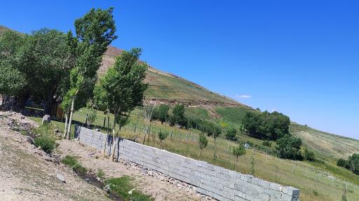 عکس لیقوان