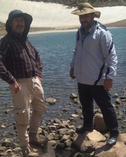 عکس لیقوان