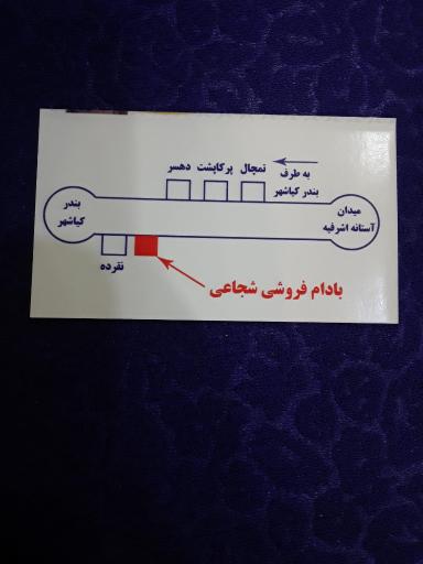 عکس بادام فروشی بردیا