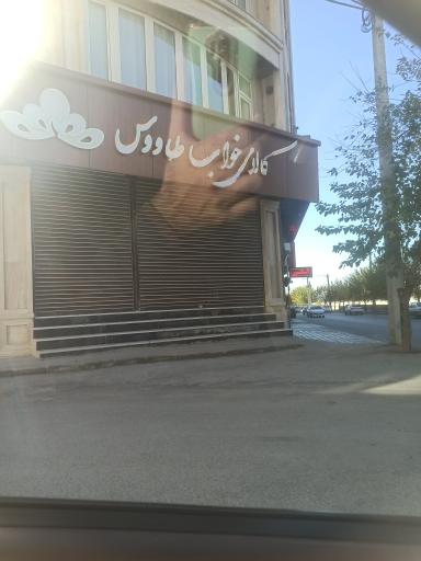 عکس کالای خواب طاووس