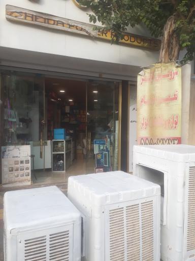 عکس الکتریکی شیدا 