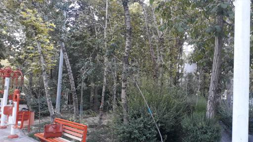 عکس بوستان شب تاب