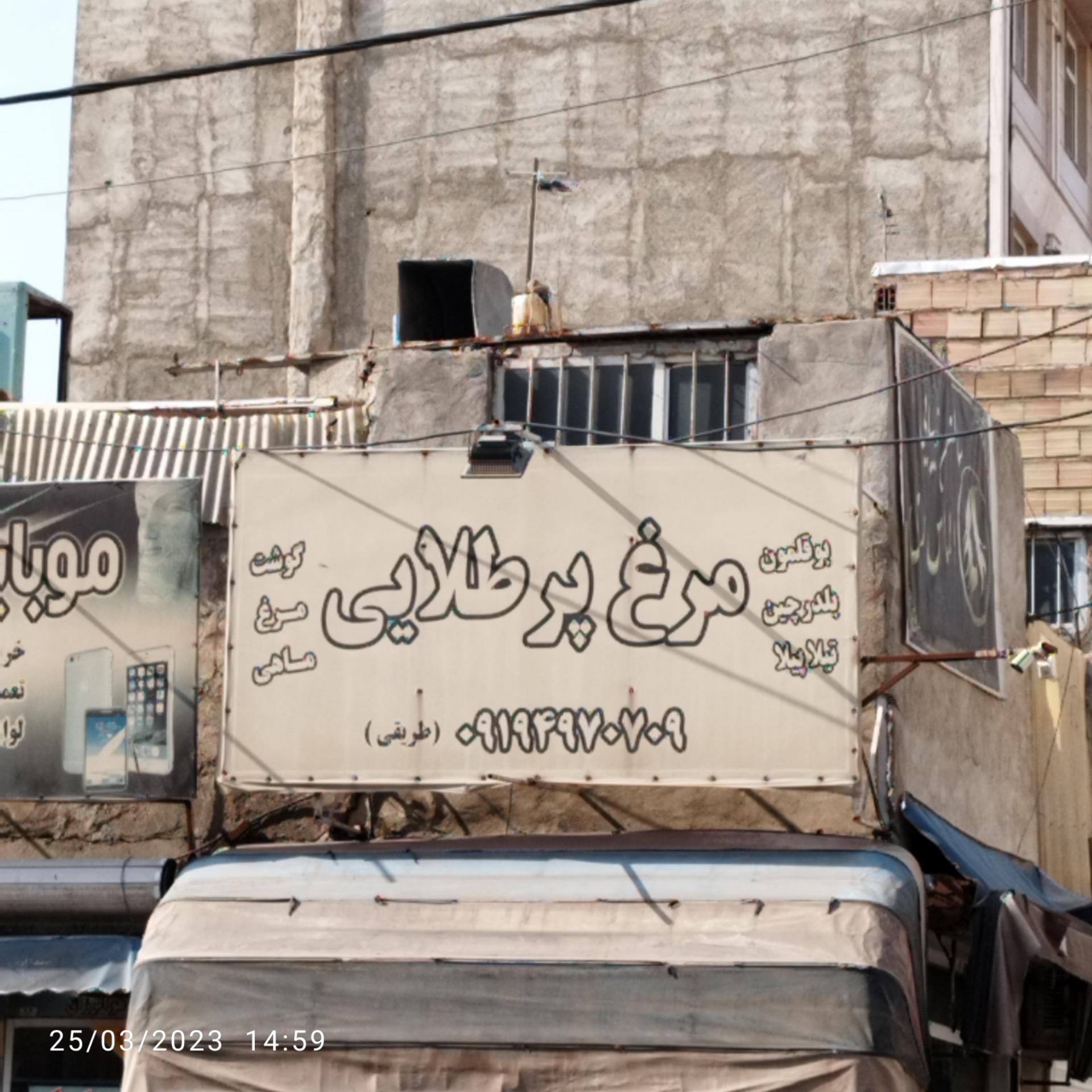 عکس مرغ پرطلایی