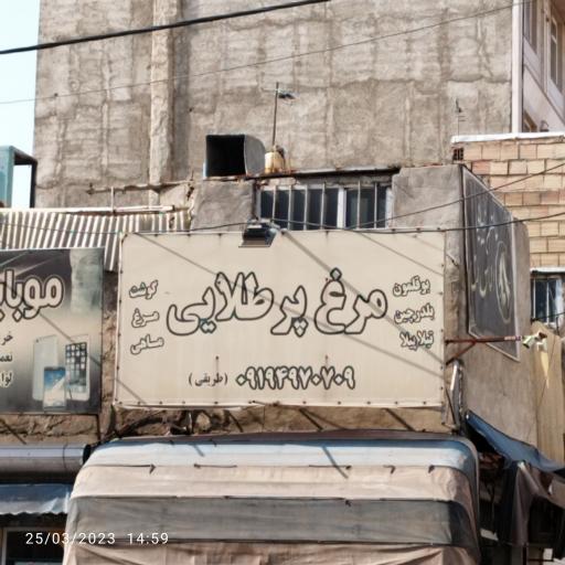 عکس مرغ پرطلایی