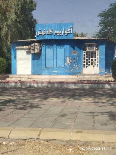 عکس آکواریوم گلدفیش