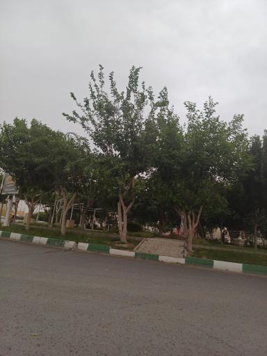 عکس میدان شهدا